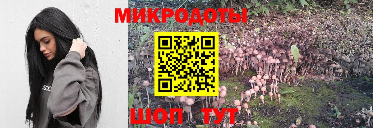 Гусиноозёрск  Галлюциногенные грибы прущие грибы  Вход с VPN 