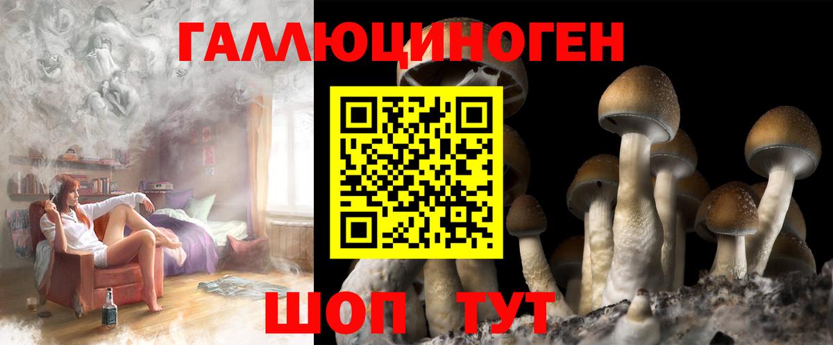 Галлюциногенные грибы Magic Shrooms Гусиноозёрск